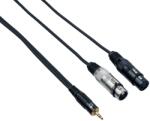 Bespeco EAYMS2FX300 3 m Cablu audio (<![CDATA[EAYMS2FX300]]>)