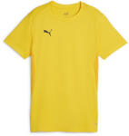 PUMA Bluza Puma teamGOAL Jersey Wmn 658638-07 Marime S (658638-07)