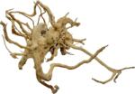 INVITAL Red moor wood KG 1455g (ID Z00509)