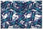 ErichKrause Dosar cu buton Erich Krause - Neon Dragonflies, A4 (55324)