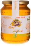Complex Apicol Miere Poliflora Apis Felix 950g