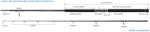 ZENAQ MUTHOS ACCURA 95H OCEAN 9 5 289cm 30-230gr Fuji Titanium Sic