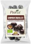 Pronat Pet Pack Bomboane Ghimbir BIO Indulcite si Glazurate cu Ciocolata Neagra, 130 g, Pronat