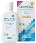 Argital Sampon Antimatreata pentru Par Gras, 250 ml