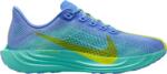 Nike Pegasus Plus Futócipő fq7261-401 Méret 36, 5 EU