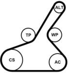 Continental Ctam Set curea transmisie cu caneluri CONTINENTAL CTAM 6PK1190K1 - piesa-auto