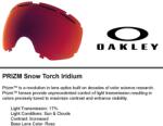 Oakley Fall Line XL Prizm síszemüveg 2024 (OO7099-02)