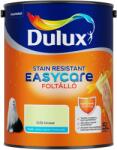 Dulux EasyCare foltálló beltéri falfesték örök tavasz matt 5 l (5253218)
