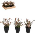 MICA Decorations pipacs művirág cserépben barna 12 cm x 12 cm
