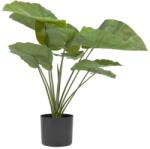 Kave Home Művirág Kave Home Alocasia 57 cm (LF-AA7334)