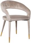 Richmond Bézs bársony étkezőszék Richmond Gia (RI-S4534-KHAKI-VELVET)