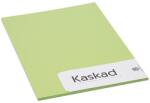 KASKAD Dekorációs karton KASKAD A/4 2 oldalas 225 g lime zöld 66 20 íves (623866/806066) - vectraline