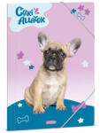 Ars Una Ars Una Cuki Állatok-Francia bulldog A/4 gumis dosszié (50214266)