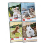 Herlitz Füzet A5/21-32 felsős vonalas Animal Hero (09087750)