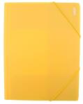 Daco Mapa plastic cu elastic A4 Daco MP250G, Galben (MP250G)