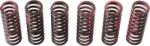 TRW Set arc ambreiaj TRW MEF307-6 (MEF307-6)