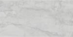 Fiore Faianta VENATO WHITE 4702 30x60cm (50317545)