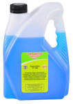 WOIL Antigel 3l Conc Albastru Woil (72203)