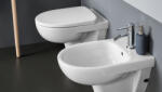 Geberit WC suspendat rimfree Geberit Selnova 49x36cm GEC500.377. 01.2 (50319862)