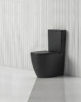 Bescrisa Vas WC cu rezervor și capac Rimless, 61 x 36, 5 x 84 cm, negru mat, Verdi S02010103PN (50322520)