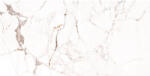 Fiore Faianta MARQUINA WHITE 4880 30x60cm (50318996)