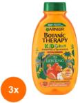 Garnier Botanic Therapy Set 3 x Sampon 2in1 pentru Copii Garnier Botanic Therapy Kids Disney Lion King, cu Ulei Organic de Caise, 250 ml (ROC-3XLRBTHSA030)