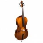 Hora-Reghin Hora Reghin Violoncel 4/4 Student placaj C121