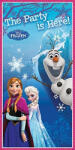 Procos Falmatrica / plakát Disney Jégvarázs (Frozen) 28x17cm (334631)