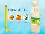 Hoxi Lumanari pentru urechi HOXI Eucalyptus, 10 buc
