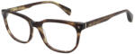 Ted Baker 8310-101 Rama ochelari