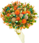 Eventissimi® Buchet de Flori Eventissimi - Plante Uscate, Portocaliu Verde (BF-053(24))