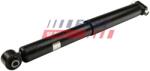 FAST amortizor FAST FT11078 (FT11078) - automobilus
