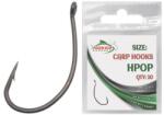 HOKEV Hpop - 10 (hok2200438)