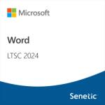 Microsoft Word LTSC 2024 (DG7GMGF0PN41-0002) (DG7GMGF0PN41-0002)