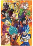 Educa 19009 - Dragon Ball Super - 500 db-os puzzle (19009)