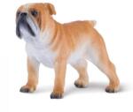 Mojo Angol Bulldog