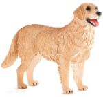 Mojo Golden Retriever - M