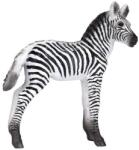 Mojo Zebra - M, Nőstény