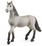 Schleich 13924 Pura Raza Espanola Csikó Játékfigura