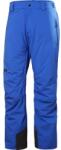 Helly Hansen Legendary Insulated Pant (65704_543)
