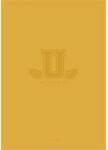 Shkolyaryk Publishing House Füzet, tűzött, A4, kockás, 60 lap, SHKOLYARYK "University International", vegyes (A4-060-5405K) - tonerpiac