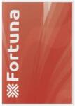 Fortuna Füzet FORTUNA Basic A4 32 lapos 87-32 kockás (FO00077)