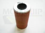 MOTAQUIP Filtru ulei MOTAQUIP VFL368 (VFL368) - automobilus