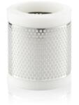 Mann-filter légszűrő MANN-FILTER CS 1343 (CS 1343) - ktkautoparts