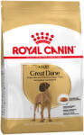 Royal Canin 2x12kg Royal Canin Great Dane (Dán Dog) Adult fajta szerinti száraz kutyatáp
