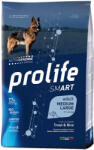 Prolife 2x12kg Prolife Smart Adult Medium / Large pisztráng és rizs