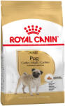 Royal Canin 2x7, 5kg Royal Canin Pug Adult száraz kutyatáp mopsznak