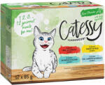 Catessy 12x85g Catessy falatok zöldséggel szószban nedves macskatáp vegyes csomag