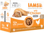 Iams 24x85g IAMS Advanced Nutrition Kitten csirke szószban nedves macskatáp