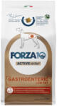FORZA10 Active Line Dog 2x4kg Forza 10 Active Vet Diet Gastroenteric Low Fat száraz kutyatáp